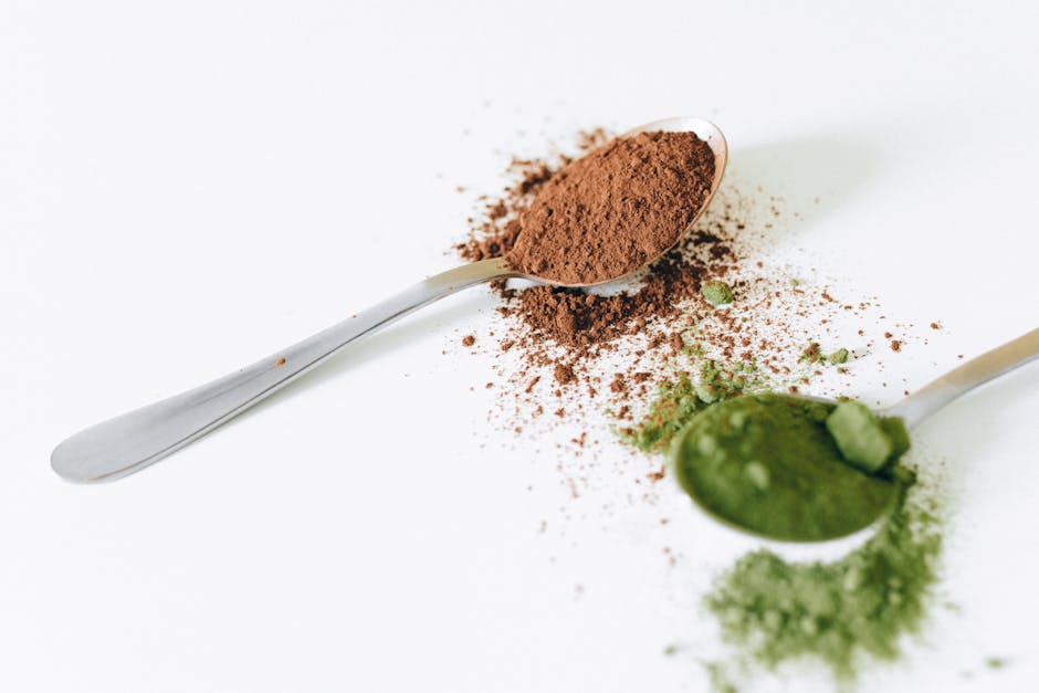 Best Budget Protein Powder 2024: Top Low Price Whey and Vegan Picks