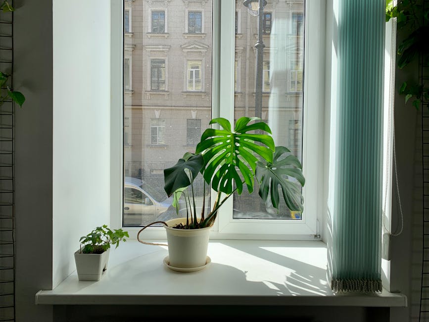 Morento Air Purifiers: Breathe Clean Air in Large Rooms Up to 2200 Sq.Ft.