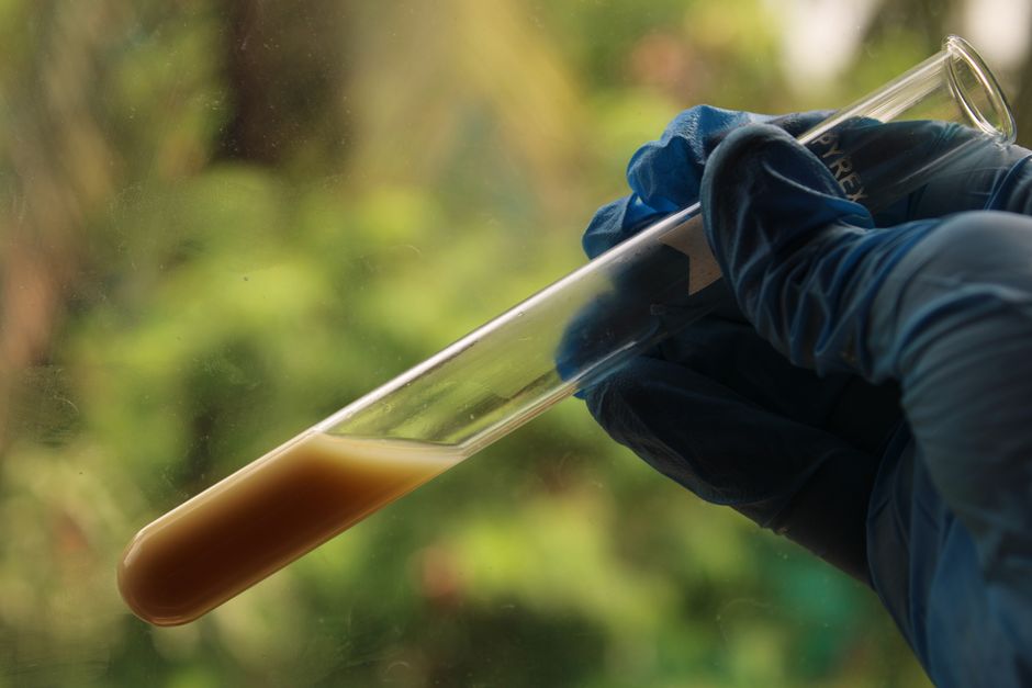 A person with gloved hand holds a test tube with liquid against an outdoor background.